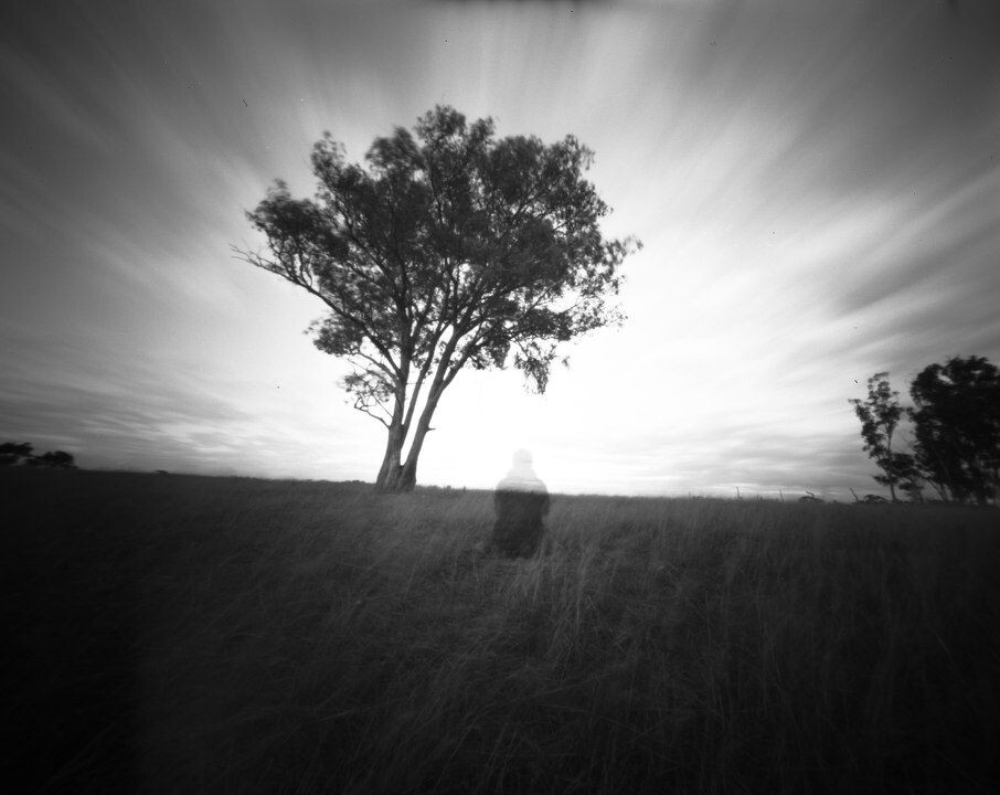 DREAM<br />

