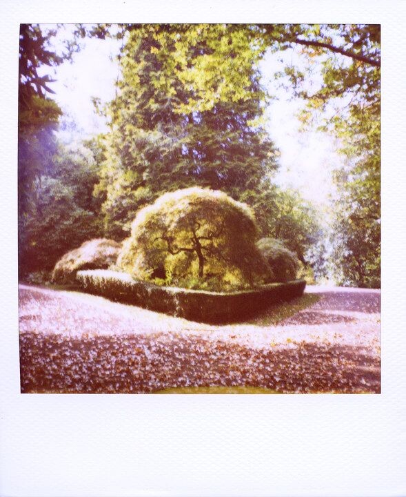 pola_life659<br />
MT MACEDON