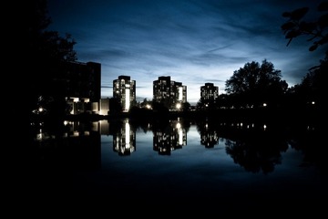 university of essex