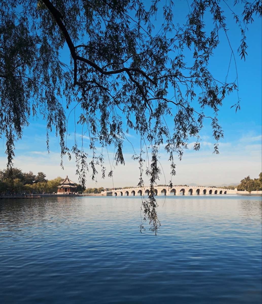 任何时候的颐和园都是一幅好光景