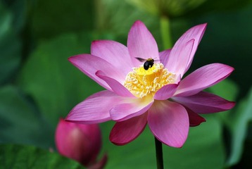IMG_1099_光影_1