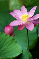 IMG_1105_光影_1