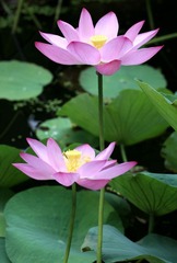 IMG_1126_光影_1
