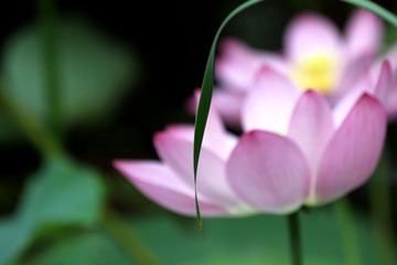 IMG_1210_光影_1