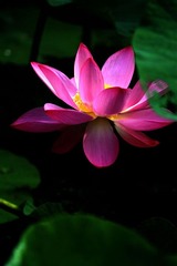 IMG_1244_光影_1