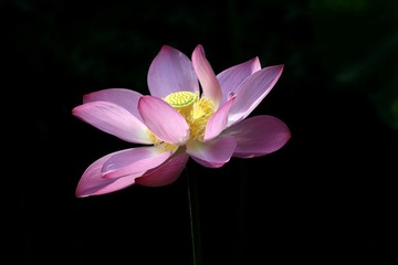 IMG_1274_光影_1