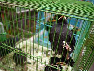 P1000208_光影_1
