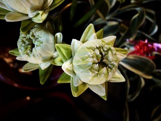 _1000989_光影_1.jpg