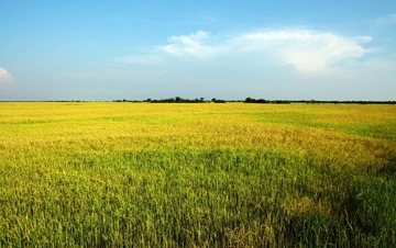 IMG_2976 (87)_光影_1.jpg