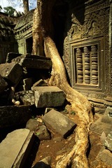 IMG_4343_光影_1.jpg