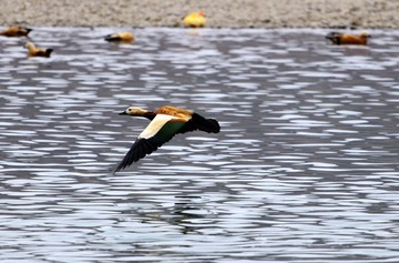 IMG_9902_光影_1