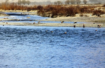 IMG_9585_光影_1