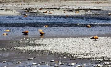 IMG_9590_光影_1