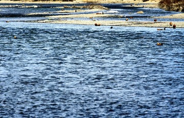 IMG_9591_光影_1