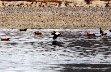 IMG_9813_光影_1