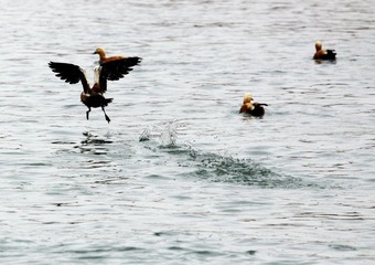 IMG_9841_光影_1
