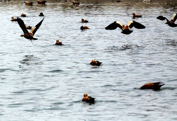 IMG_9844_光影_1