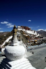 IMG_8888 (22)_光影_1