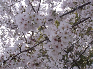 870BD68E-02E0-423A-A9F5-4589B70A6DD1/L0/001
