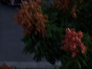 252C3F3A-5D67-4B57-B33C-1FF9DFA37FD1/L0/001