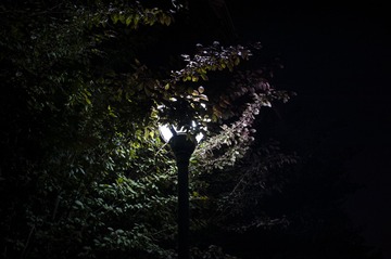 06048B91-3BFC-4004-8DC0-5AC095C99D82/L0/001