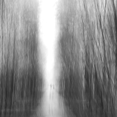 D948B0E2-C781-451B-B833-396F3C0A36A0/L0/001