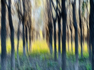 1C147203-D247-4F84-93BE-80F754FC23DE/L0/001