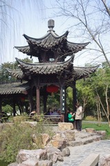 IMGP2193.JPG