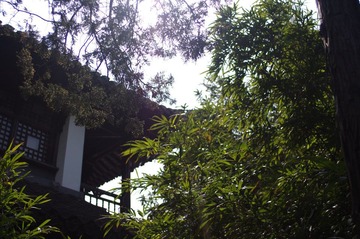 IMGP2197.JPG