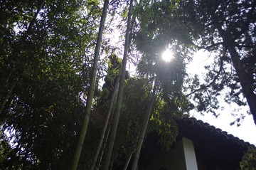 IMGP2199.JPG