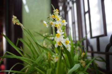 IMGP2204.JPG