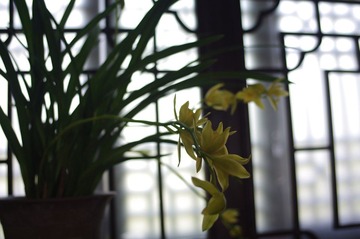 IMGP2207.JPG