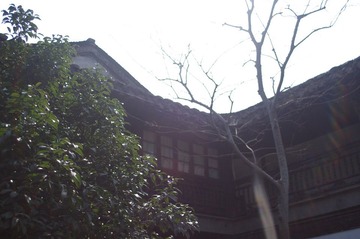 IMGP2215.JPG