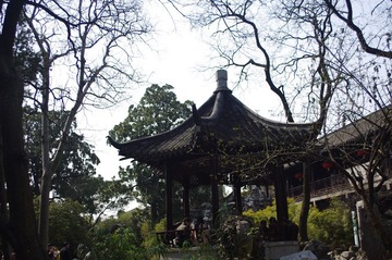 IMGP2222.JPG