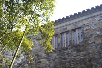 IMGP2225.JPG