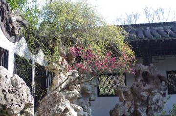 IMGP2294.JPG