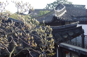 IMGP2374.JPG
