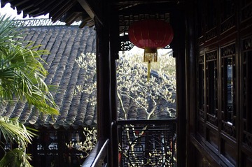 IMGP2381.JPG