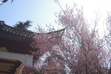 IMGP1877.JPG