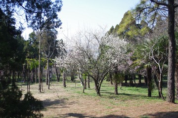 IMGP1878.JPG