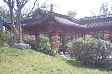 IMGP1884.JPG