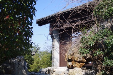 IMGP1995.JPG