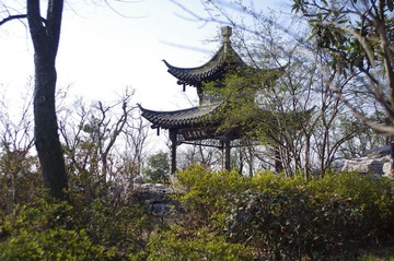 IMGP1997.JPG