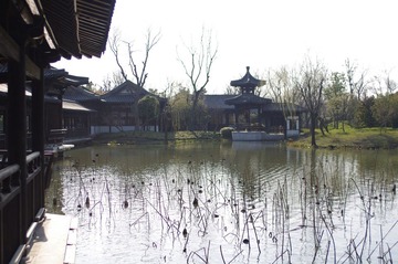 IMGP2029.JPG