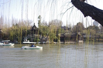 IMGP2040.JPG