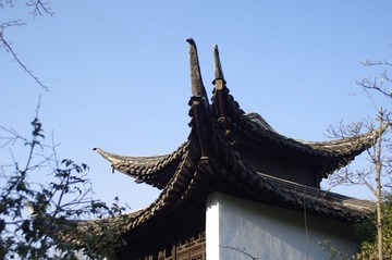 IMGP2049.JPG