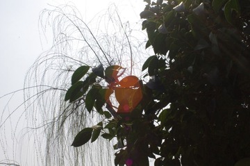 IMGP2493.JPG