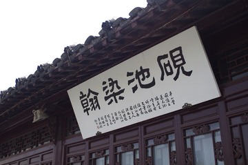 IMGP2505.JPG