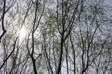 IMGP2551.JPG