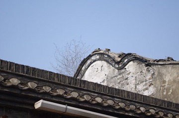 IMGP2554.JPG